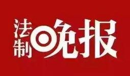 仙鱼最新爆料新闻报道,最新热点事件深度解析