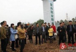 常宁记者爆料最新消息,重大事件引发社会关注！